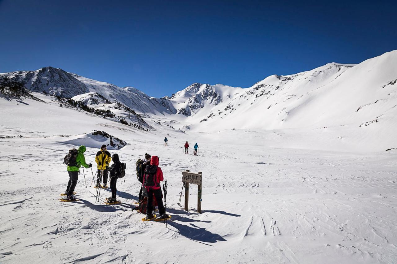 Le Chalet Du Ticou Bolquere Pyrenees 2000 エクステリア 写真