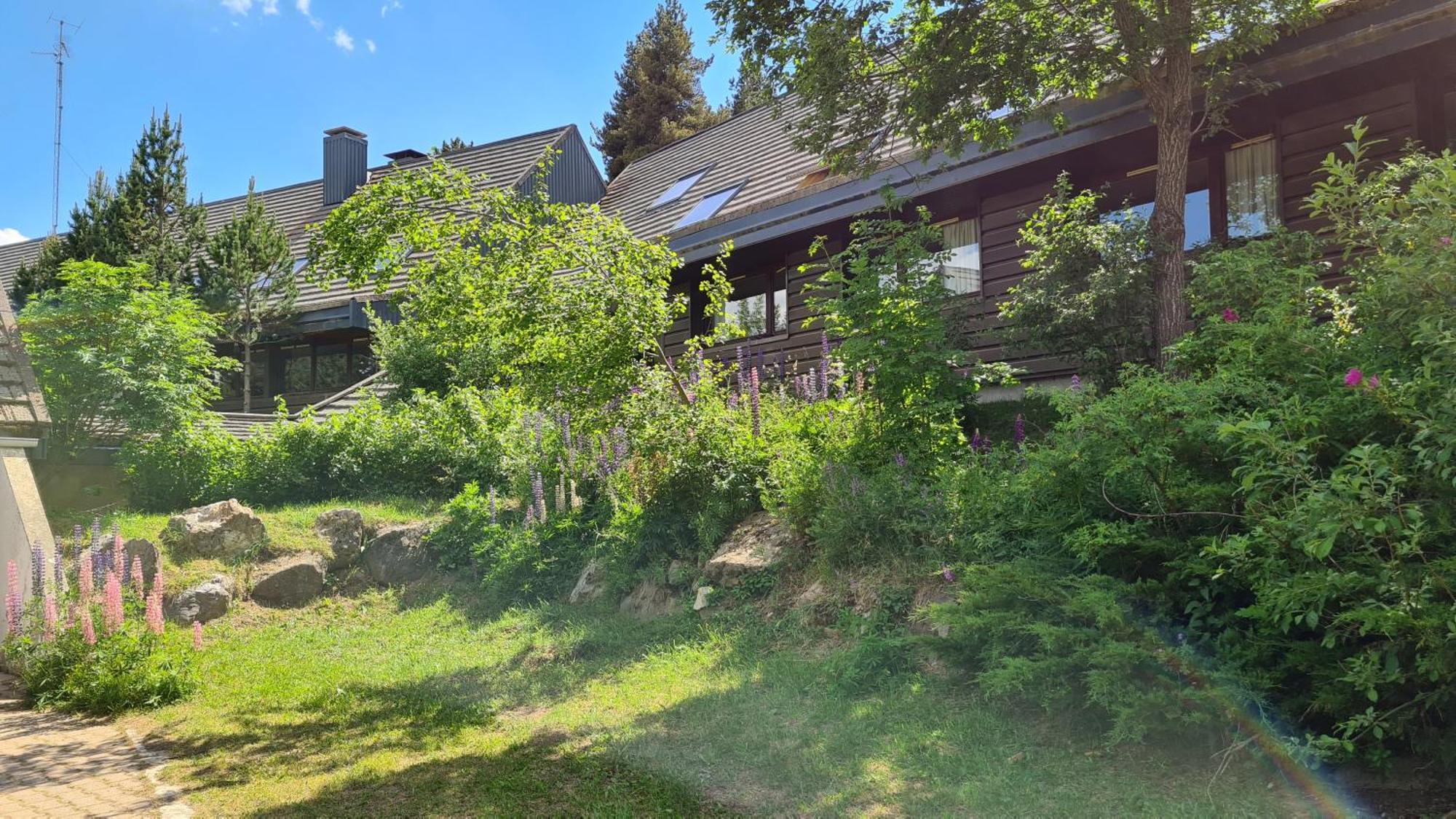 Le Chalet Du Ticou Bolquere Pyrenees 2000 エクステリア 写真